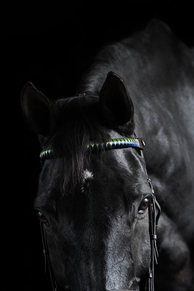 VEZZA Browbands - Standard Peak Design