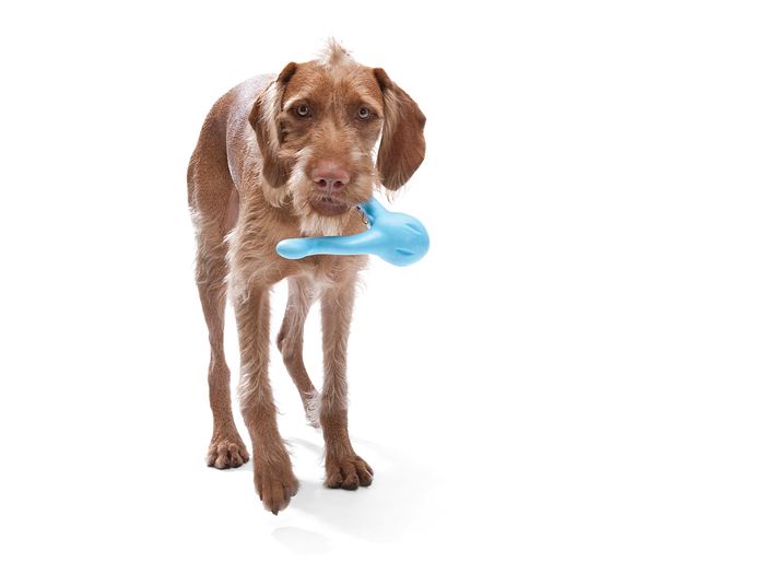 West Paw - Tizzi® Puzzle Treat-Dispensing Dog Enrichment Toy - Dog.Dog.Cat.