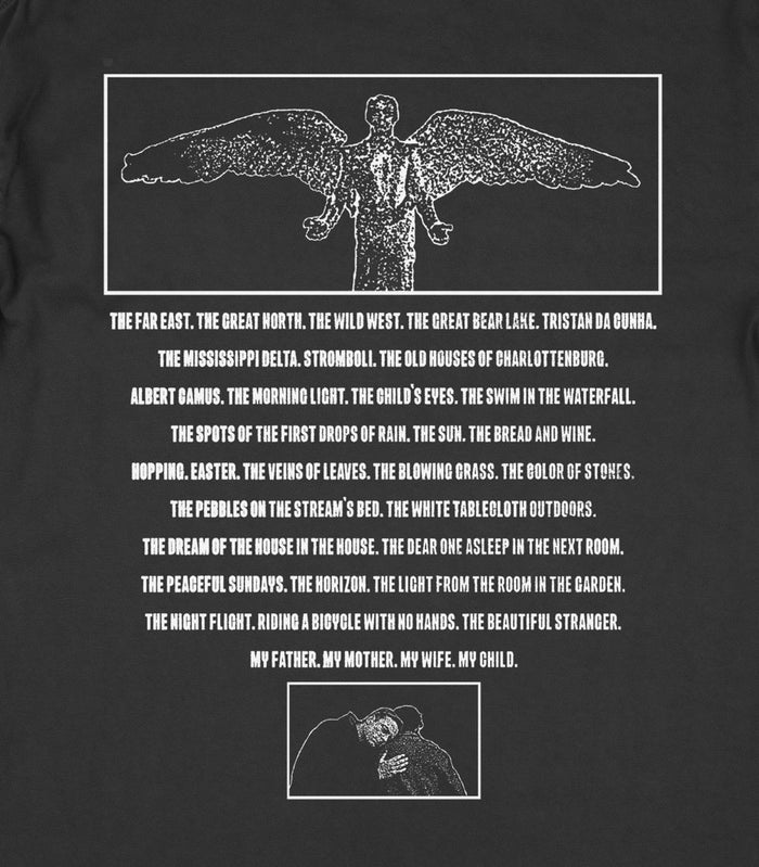 Wings of Desire Long Sleeve T-Shirt
