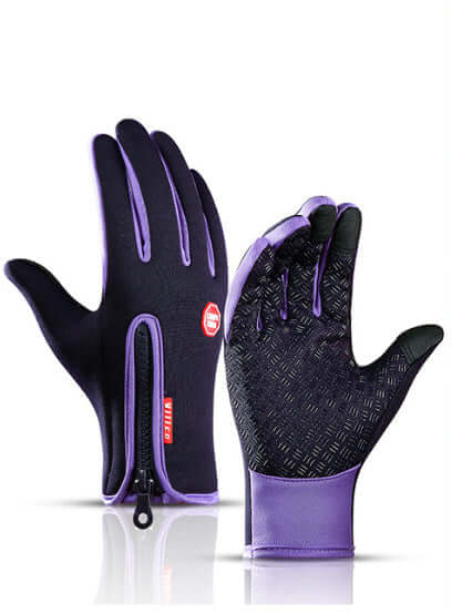 L / Purple