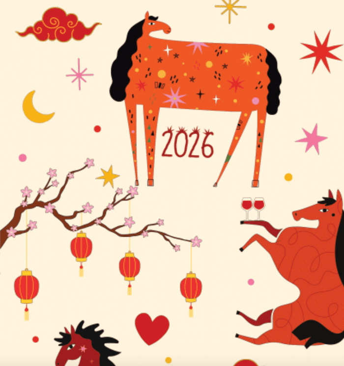Year of the Horse Pair & A Spare Socks